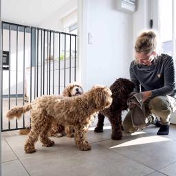 DogSpace Charlie Ekstra Høj Vægmonteret Hundelåge Gitter 103 cm SORT